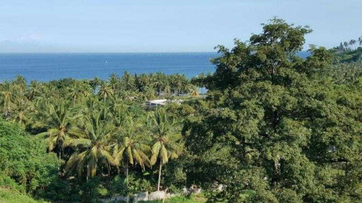 Lombok land for sale