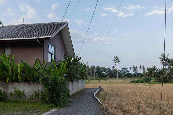 Ubud villa for sale