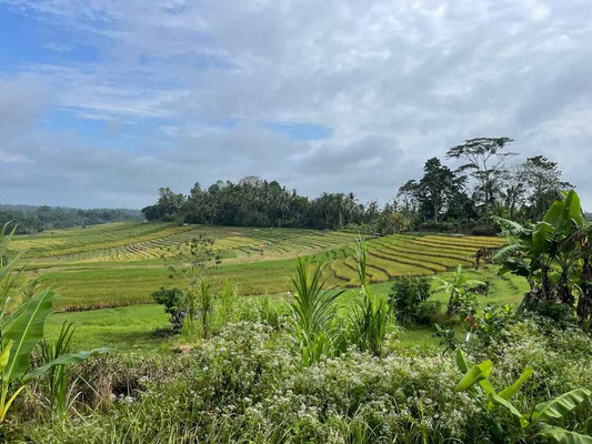 Tabanan land for sale