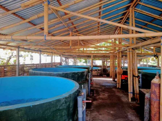 North Bali real estate for sale. For sale by owner