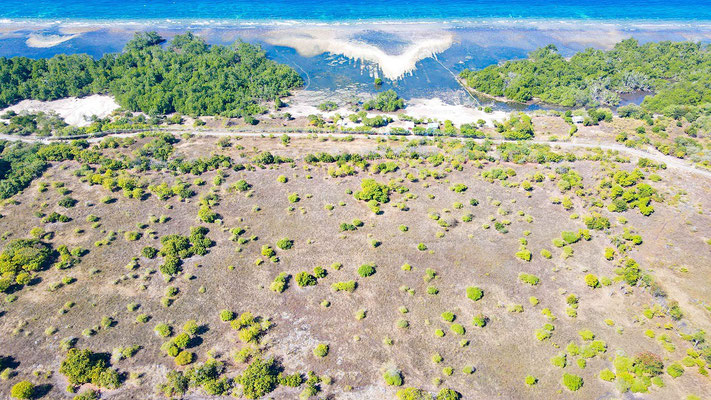 Sumba land for sale