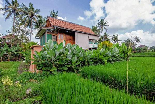 Ubud house for sale