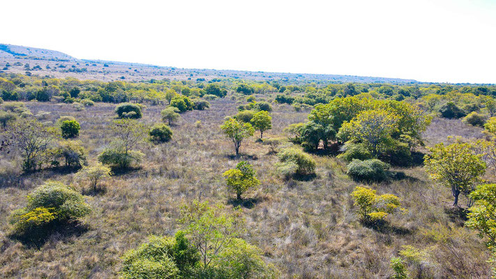 Sumba land for sale