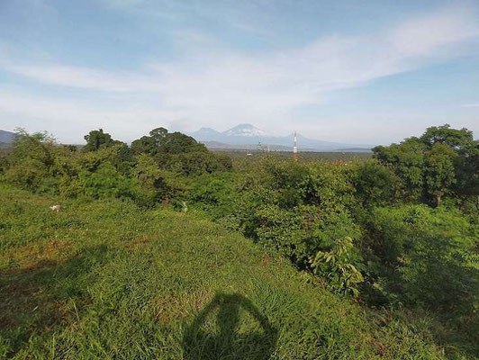 North Bali land for sale. Land for sale by owner