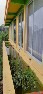 Kintamani property for sale