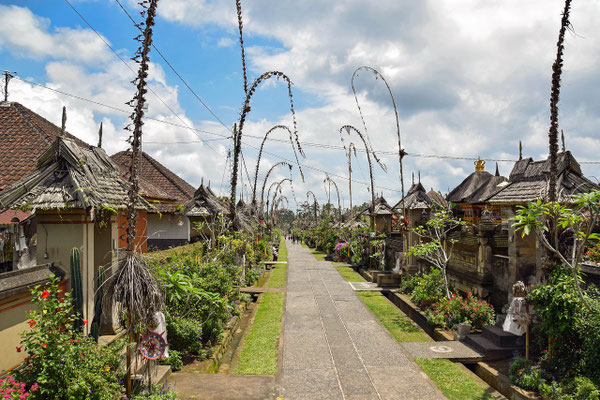 The timeless bamboo-lined main street of Penglipuran village.