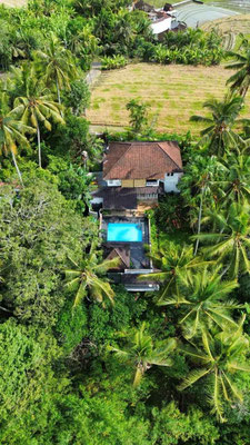 Kerambitan villa for sale