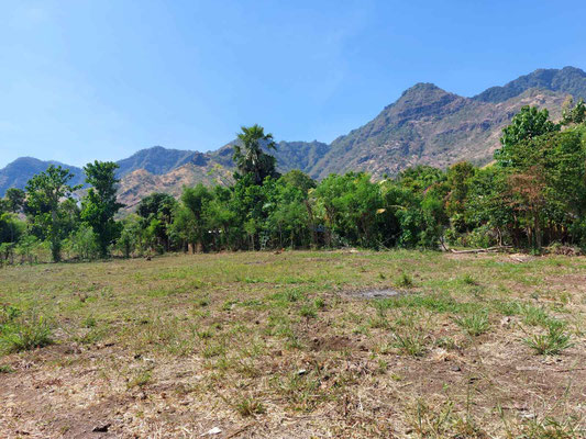 Pemuteran land for sale