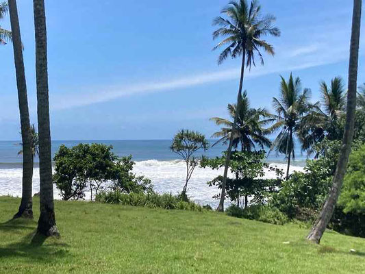 Tabanan land for sale