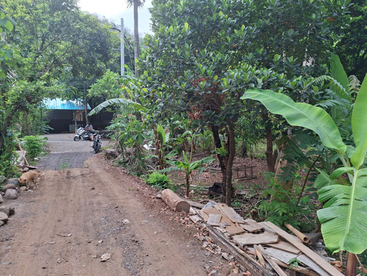 Amed real estate for sale