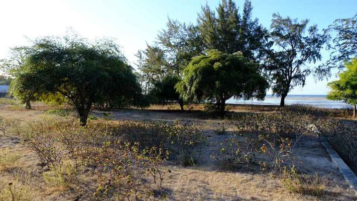 Sumba land for sale