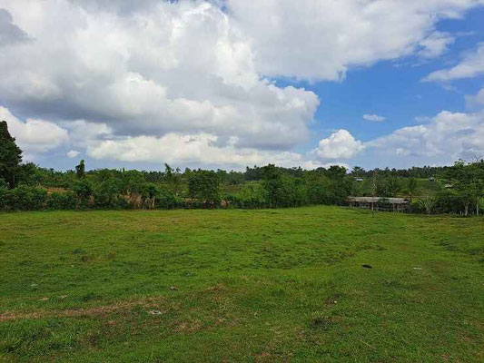 Tabanan land for sale