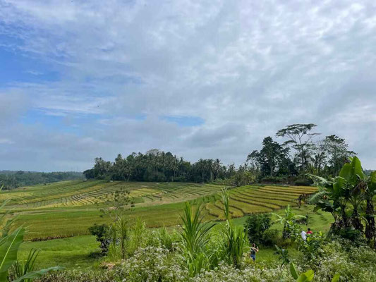 Tabanan land for sale