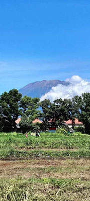 Dijual properti di Jasri