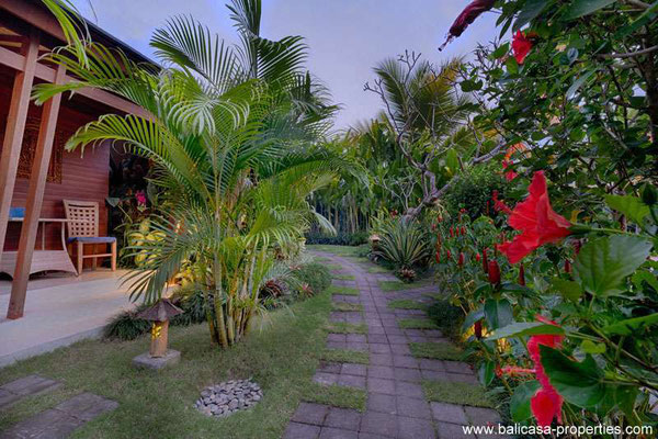 Ubud property for sale