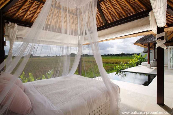 Ubud villa for sale