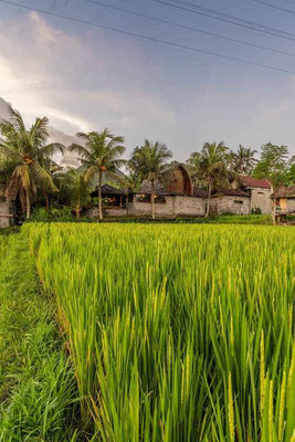 Immobilien zum Verkauf in Ost-Bali