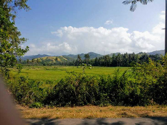 South Lombok land for sale by owner. Land for sale by owner