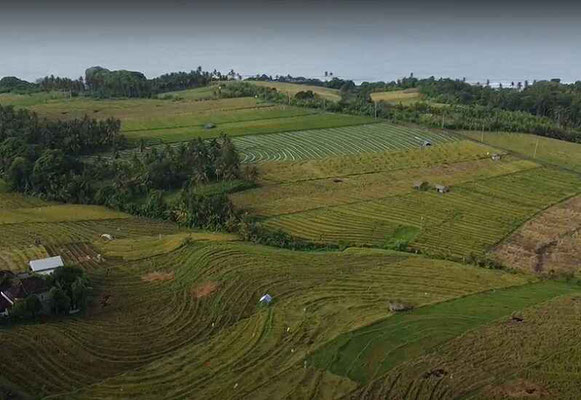Tabanan land for sale