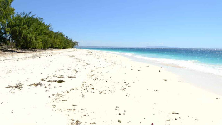 Sumba land for sale