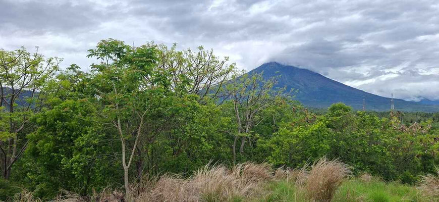 Amed land for sale