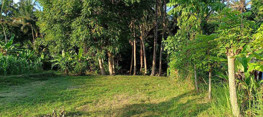 Jasri property for sale. For sale by owner