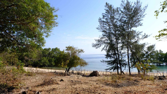 Sumba property for sale