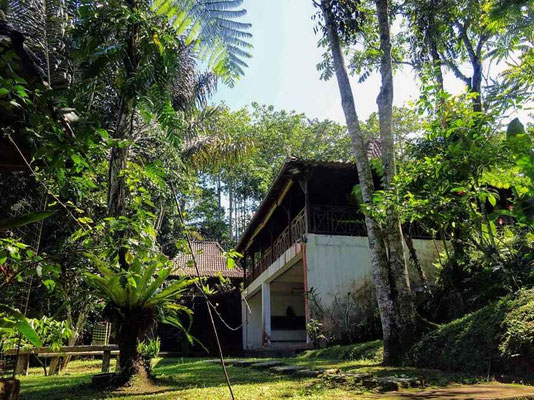 Ubud vastgoed te koop