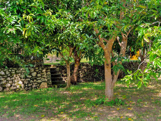 Nusa Lembongan Immobilien zu verkaufen