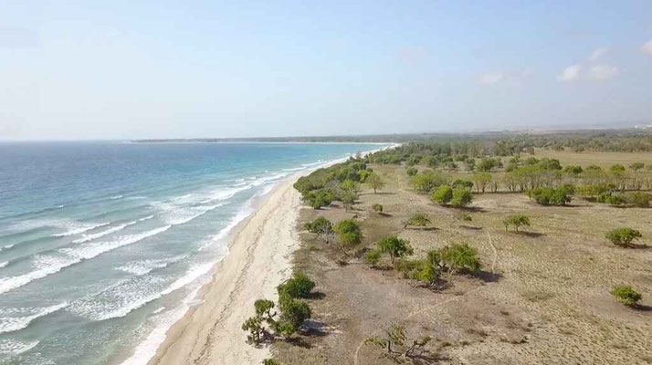 Sumba land for sale