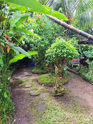 Dijual rumah di Penestanan
