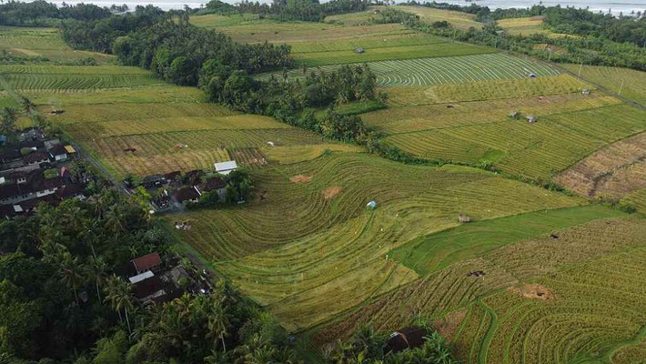 Tabanan land for sale