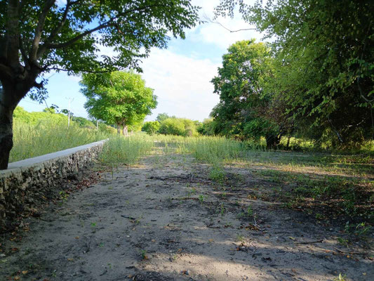 Sumba land for sale