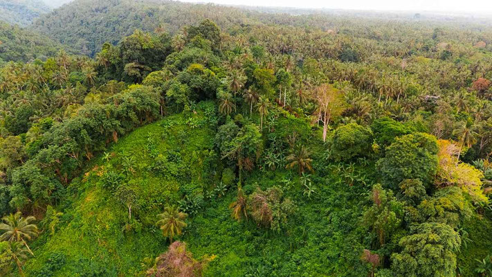 Dijual properti di Bali barat