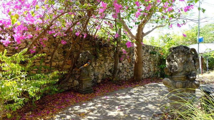 Sumba villa for sale