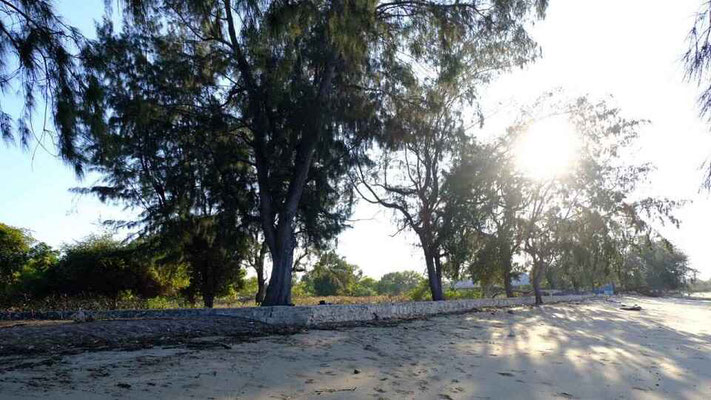 Sumba property for sale