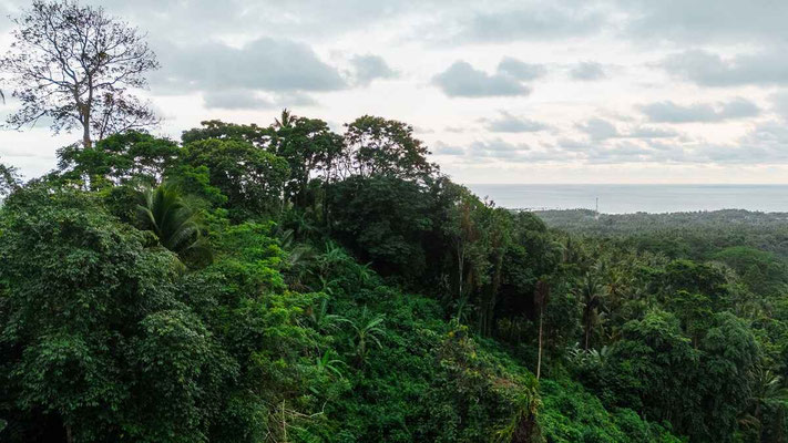 Dijual villa di Bali barat