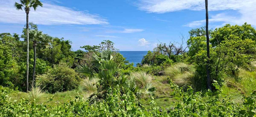Amed land for sale