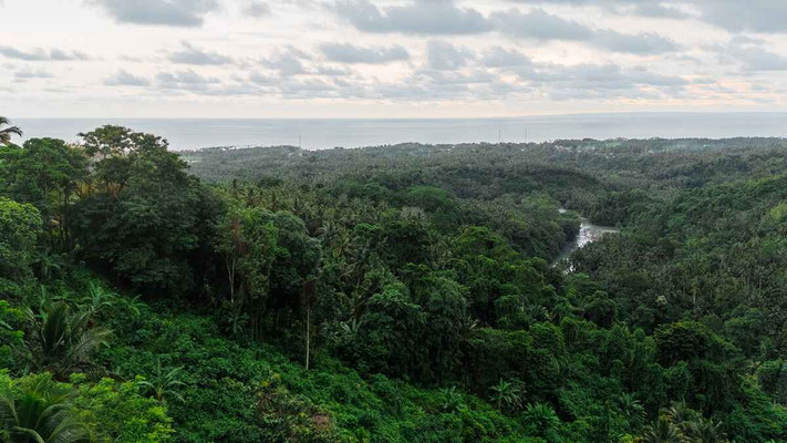Dijual villa di Bali barat