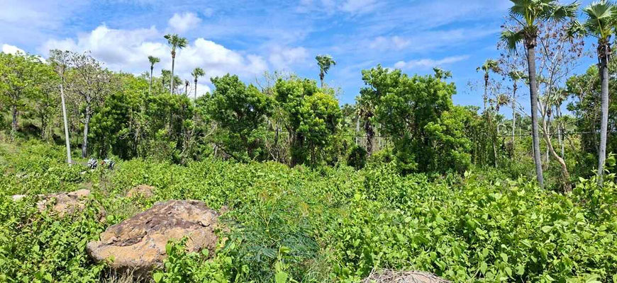 Amed land for sale