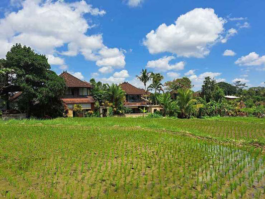 Ubud real estate for sale