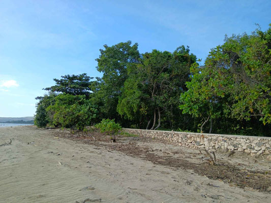 Sumba property for sale