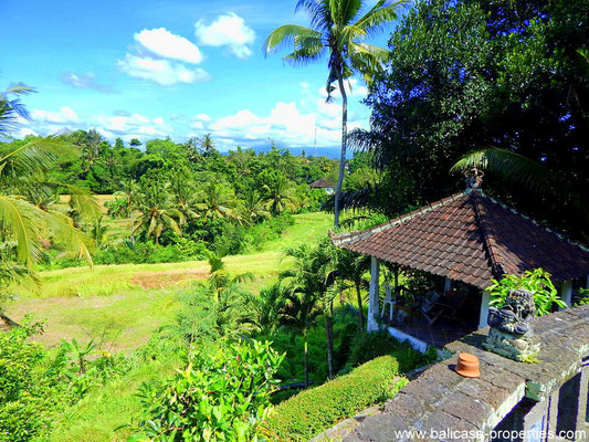 Tabanan house for sale with 3 bedrooms