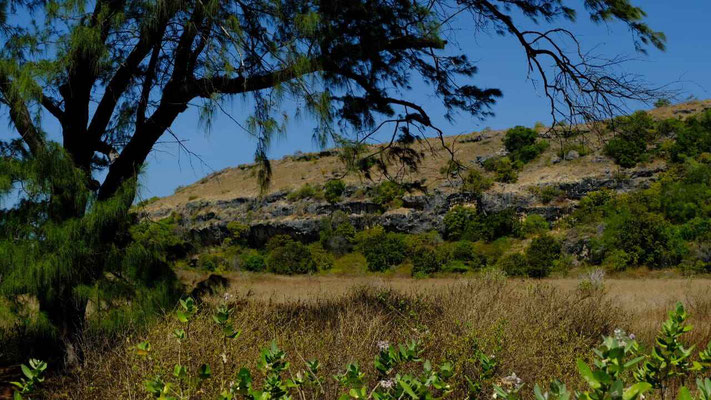 Sumba land for sale