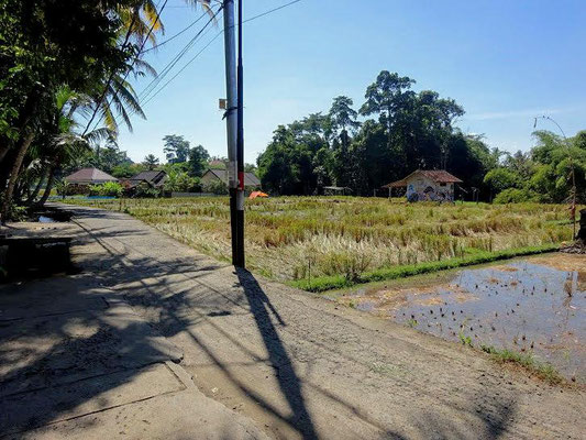 Ubud land for sale