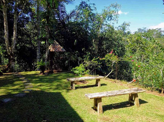 Ubud vastgoed te koop