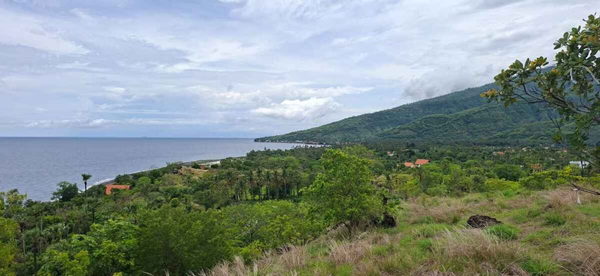Amed land for sale
