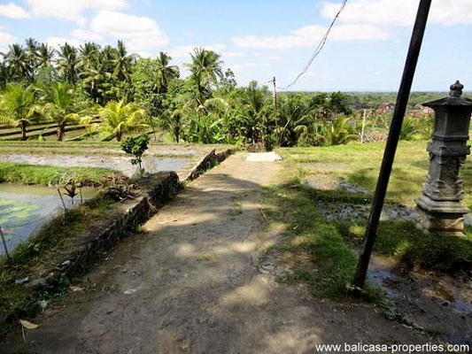 Tabanan villa for sale