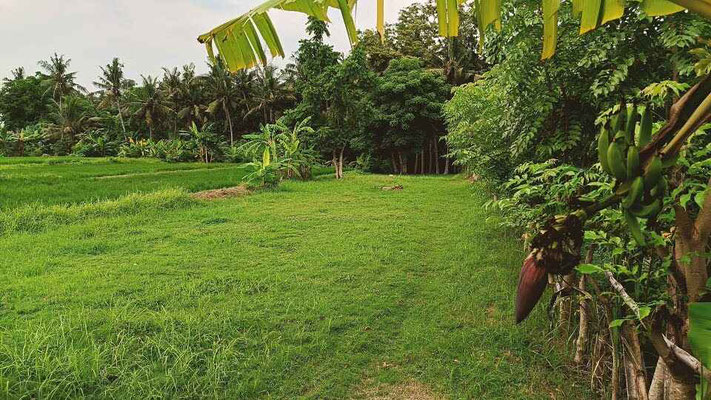 Dijual rumah di Jasri