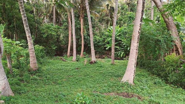 Dijual rumah di Jasri